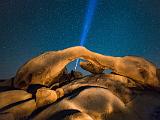 Joshua Tree 023